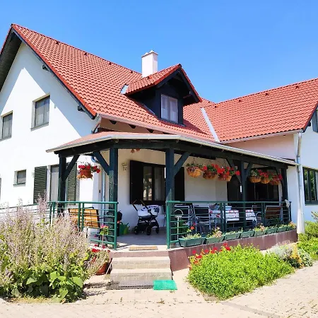 Vadvirag Vendeghaz Kisszekely