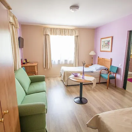 Vadvirag Vendeghaz Kisszekely