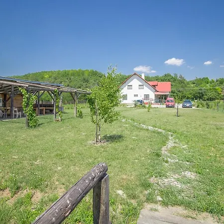 Vadvirag Vendeghaz Гостевой дом *