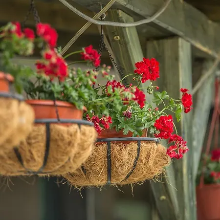 Vadvirag Vendeghaz Гостевой дом Kisszekely